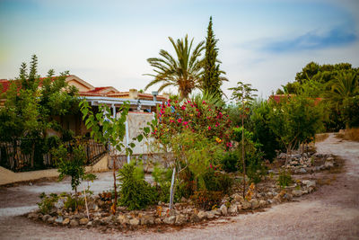 Plants and trees by house against sky