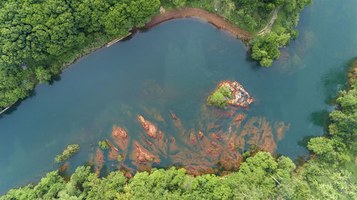 High angle view of lake amidst trees