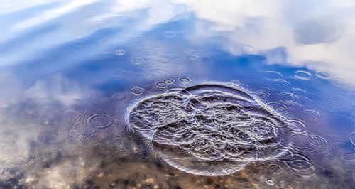 Close-up of wet bubbles against sea