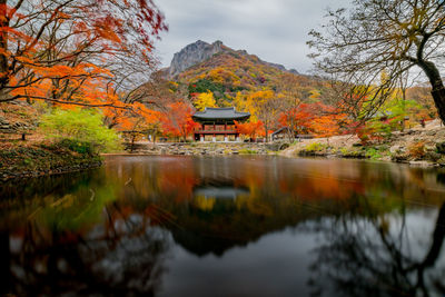 Reflection of trees in lake during autumn