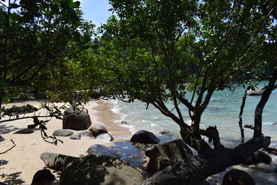 Scenic view of beach