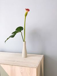 Close-up of flower vase on table