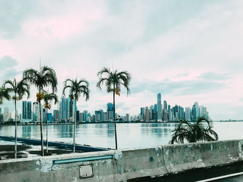 Palm trees by swimming pool against sky