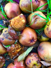 Close-up of vegetables