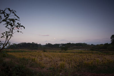 Scenic view of field against sky at sunset