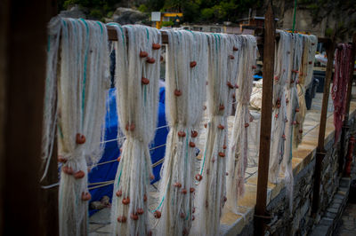 Close-up of clothes drying on wood