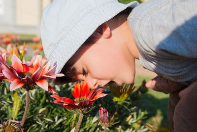Close-up of boy smelling flowers