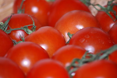 Close-up of tomatoes