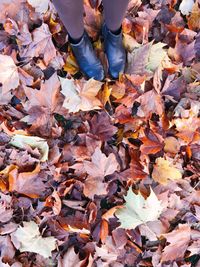 Low section of person standing on dry leaves