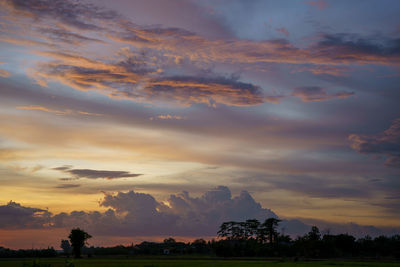 Scenic view of trees against sky during sunset