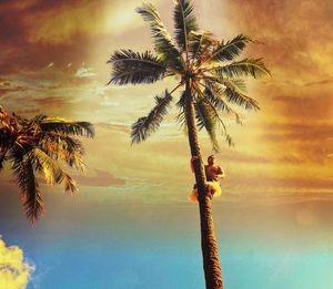 Low angle view of palm trees against cloudy sky