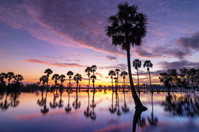 Reflection of silhouette palm trees in lake against sky