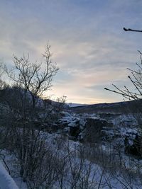 Scenic view of frozen lake against sky during winter
