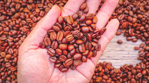 High angle view of hand holding coffee beans