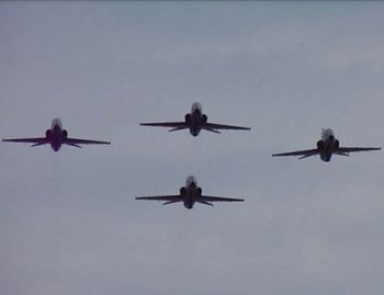 Low angle view of birds flying in sky