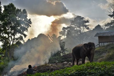 Woman sitting by elephant on hill against smoke during sunset