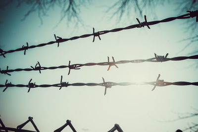 Low angle view of barbed wire against sky