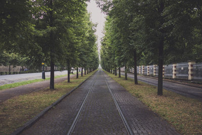 Empty railroad track amidst trees on field