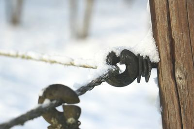 Close-up of rusty chain