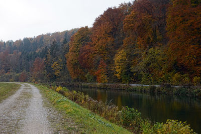 Street by river isar against trees during autumn