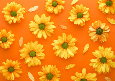 Full frame shot of flowers against orange background