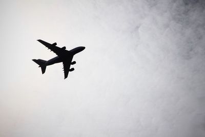 Low angle view of silhouette bird flying in sky