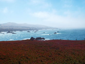 Scenic view of sea against sky