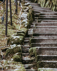 Close-up of steps