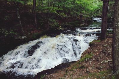 Scenic view of river flowing through rocks