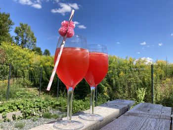 refreshment
