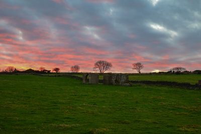 Scenic view of landscape against sky during sunset