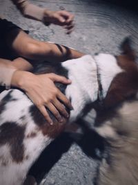 High angle view of woman with dog relaxing on floor