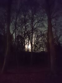 Silhouette trees in forest against sky