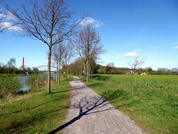 View of trees on landscape against clear sky