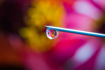 Close-up of multi colored bubbles