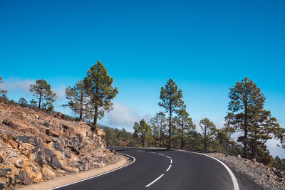 Road amidst trees against blue sky