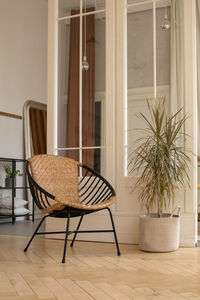 Chair and plant in stylish room