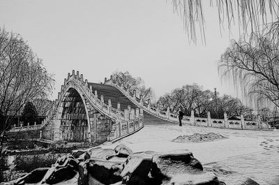 Trees against clear sky