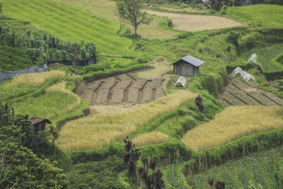 High angle view of farm