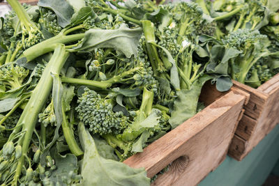 High angle view of vegetables