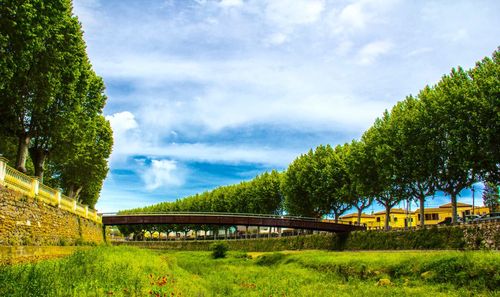 Trees in park against sky