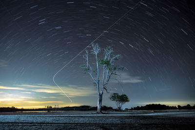 Scenic view of tree against sky at night