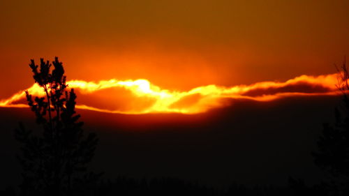 Silhouette of trees against sky during sunset