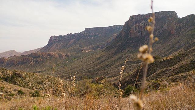 landscape, tranquil scene, tranquility, mountain, sky, grass, scenics, nature, field, beauty in nature, non-urban scene, plant, rural scene, mountain range, remote, hill, horizon over land, arid climate, growth, solitude