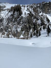 Trees on snow covered land against mountains