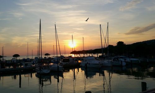 Sailboats moored at harbor during sunset