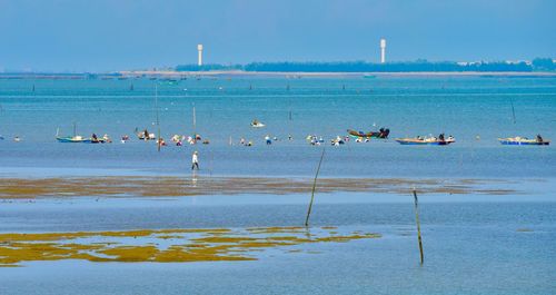 Birds in lake against sky