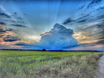 Scenic view of field against sky during sunset