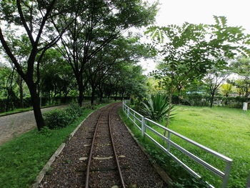 Railroad track amidst trees against sky