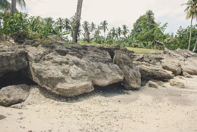 View of rock on beach against sky